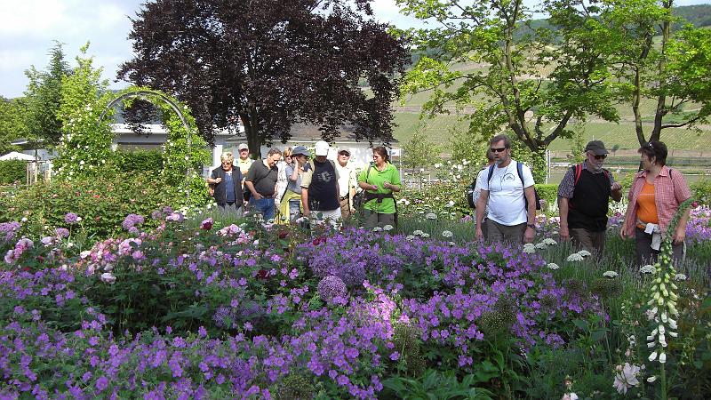 CIMG6355.JPG - Schön