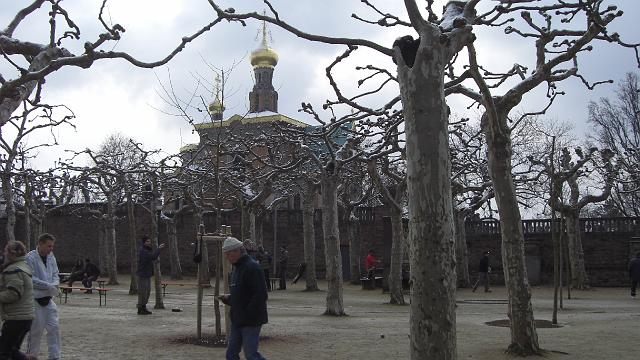 CIMG0471.JPG - Mein Gott, diese vielen kahlen Bäume ...