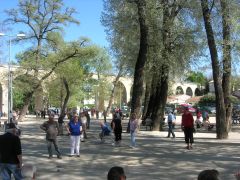 Turnier im Boulodrome von Carpentras. Alles Kreuz und Quer und dazwischen noch Zuschauer auf ihren Stühlen. Und trotzdem funktioniert alles bestens - bewundernswert.