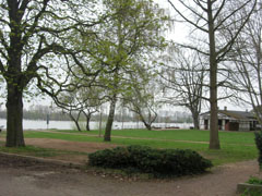 Der neue Bouleplatz in Geisenheim liegt geschützt unter großen Bäumen mit Blick auf den Rhein und Versorgungsstand im Hintergrund.